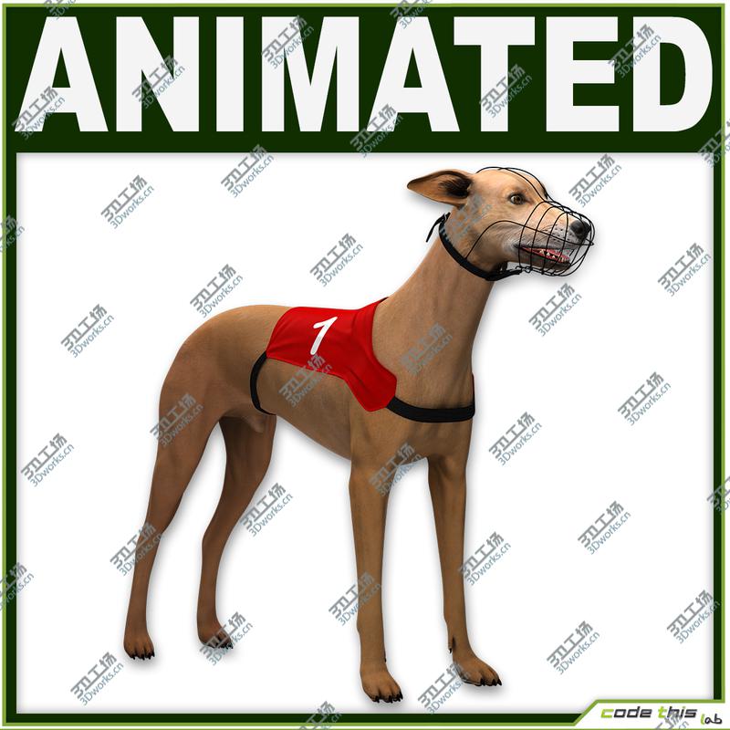 images/goods_img/202105071/Greyhound Dog CG/1.jpg